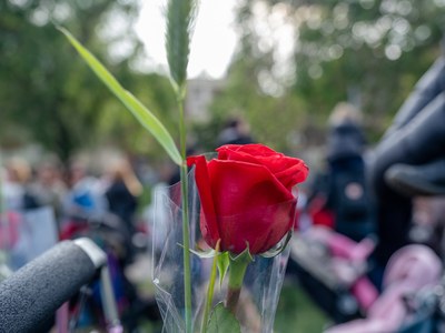 Comença la Jordiada, una gran programació d'activitats culturals per commemorar Sant Jordi a Cornellà