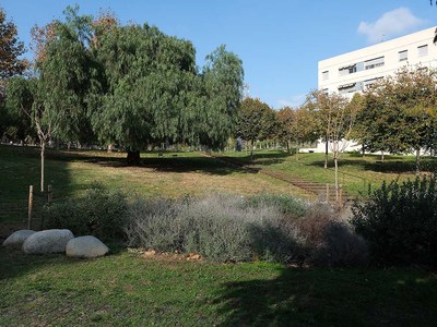 Cornellà disposa de refugis climàtics per minvar l'efecte de les altes temperatures