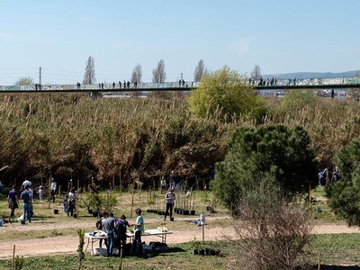 Cornellà recupera la Festa del Riu per gaudir de la natura