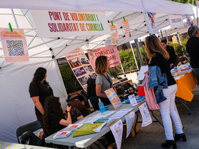 Curs sobre la gestió de la salut mental adreçat a persones vinculades al voluntariat