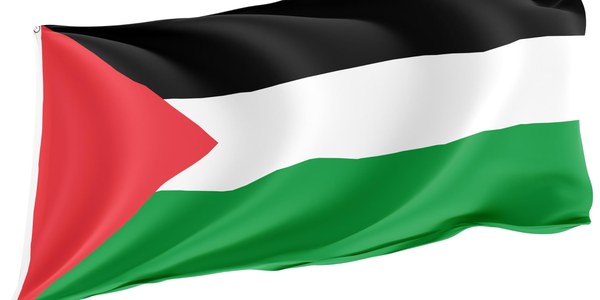 Declaració institucional del govern municipal de Cornellà Llobregat per demanar la pau a Palestina i la fi del genocidi a Gaza