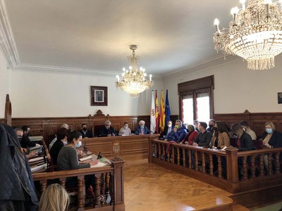 El Síndic presenta al ple el seu informe anual corresponent a 2021