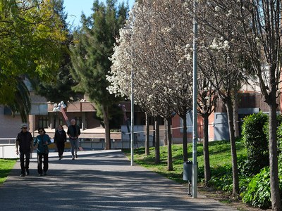 Espais d'ombra i refugis climàtics sumen per protegir-nos de la calor