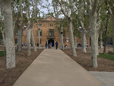 Millores en la il·luminació de Can Mercader