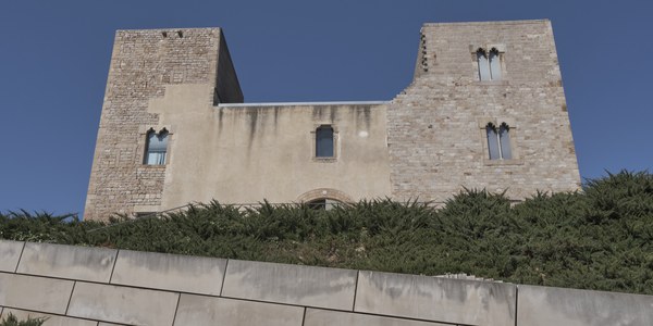 Nit dels Museus
