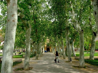 Parcs i espais verds floreixen i s'omplen d'activitats