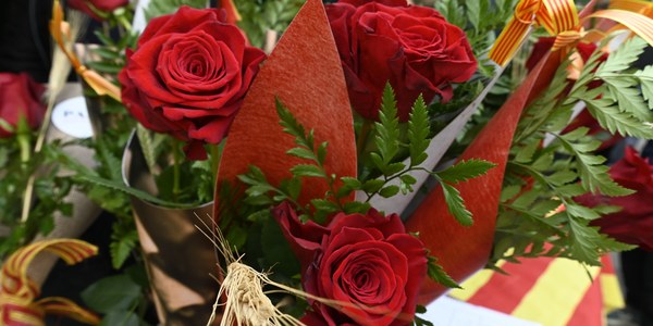 Celebra la Diada de Sant Jordi a Cornellà