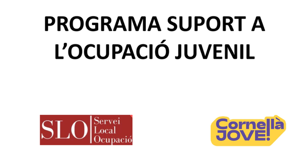 SUPORT A L’OCUPACIÓ JUVENIL (SOJ)