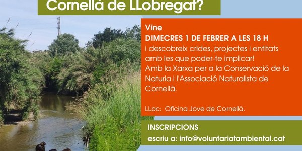 Vols fer voluntariat ambiental?