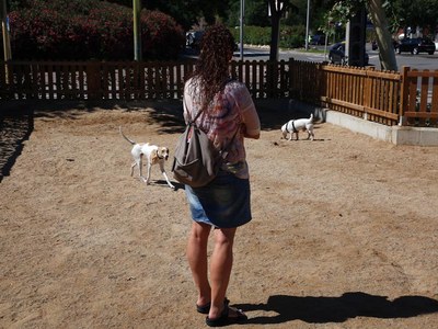 600 sanciones en el año 2023 relacionadas con la tenencia de animales