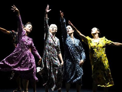 Comienza el Danza Metropolitana