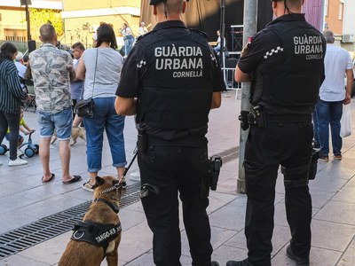 Consejos para disfrutar de un verano más seguro