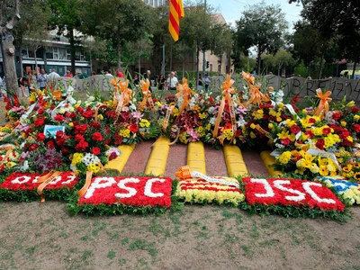 Diada de Catalunya