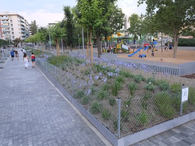 La plaza de la Llibertat estrena zona peatonal y nueva imagen