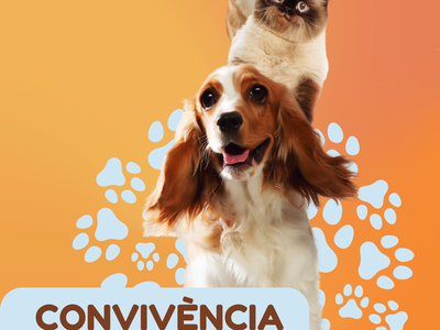 La prueba de ADN canino, para prevenir el abandono animal y las conductas incivícas