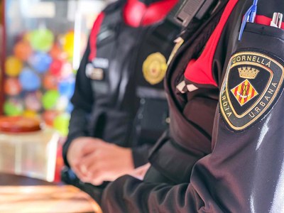 La seguridad, desde una perspectiva integral y preventiva