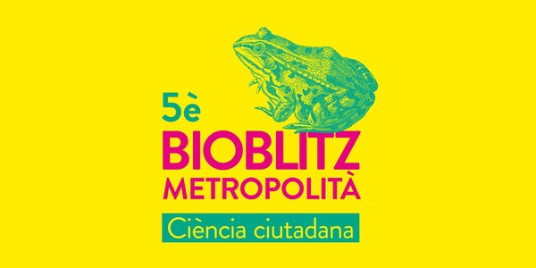 Observa y comparte la Biodiversidad de los parques de Cornellà