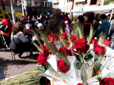 Paradas de libros y rosas llenarán de color la ciudad