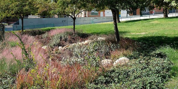 Parques de la ciudad: naturaleza y salud