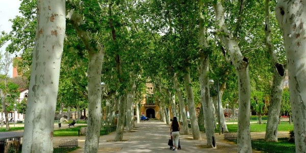 Parques y espacios verdes florecen y se llenan de actividades