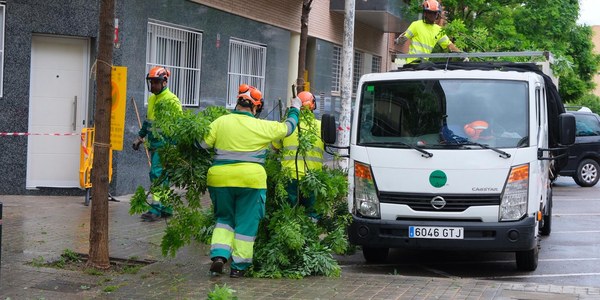 Poda y fumigación para preparar los árboles para la nueva temporada