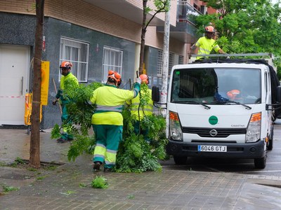 Poda y fumigación para preparar los árboles para la nueva temporada