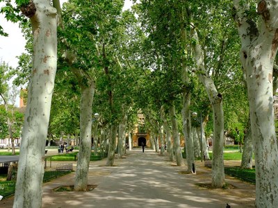 ¿Qué hacer esta Semana Santa en Cornellà?