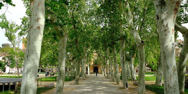¿Qué hacer esta Semana Santa en Cornellà?