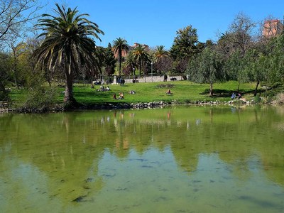 Renaturalización del aigua del lago de Can Mercader