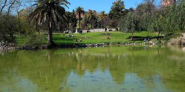 Renaturalización del aigua del lago de Can Mercader