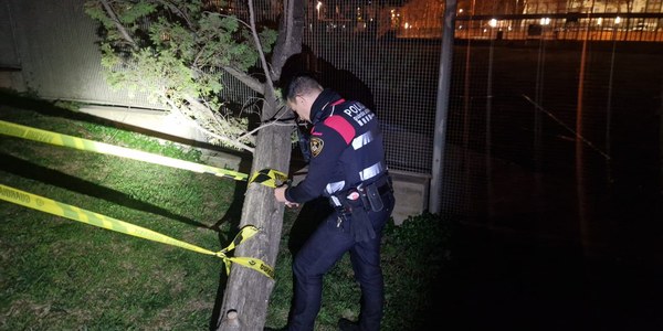 Seguimiento de incidencias por el temporal de viento y suspensión de las rúas escolares de Carnaval de hoy viernes