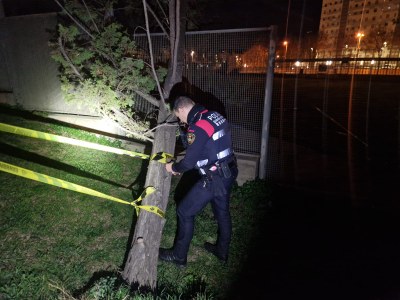 Seguimiento de incidencias por el temporal de viento y suspensión de las rúas escolares de Carnaval de hoy viernes