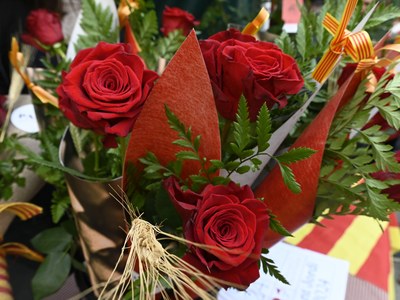 Celebra la Diada de Sant Jordi en Cornellà