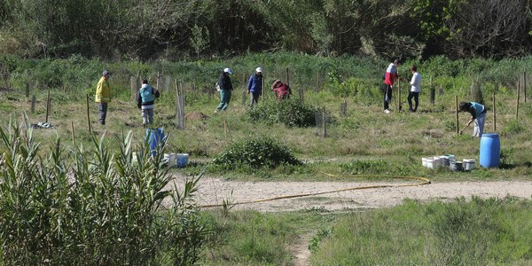 Vuelve la Fiesta del río, el 15 de marzo