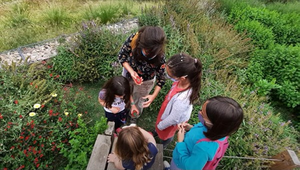 Imatge del 4t Bioblitz Metropolità